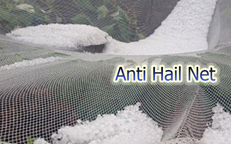 „Anti Hail Net“ funkcija