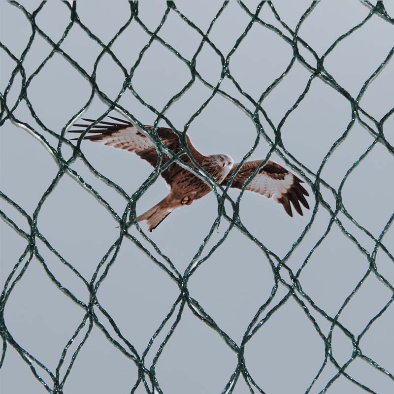 Kokie yra paukščių profilaktikos tinklų medžiagų pasirinkimai ir pranašumai bei trūkumai?