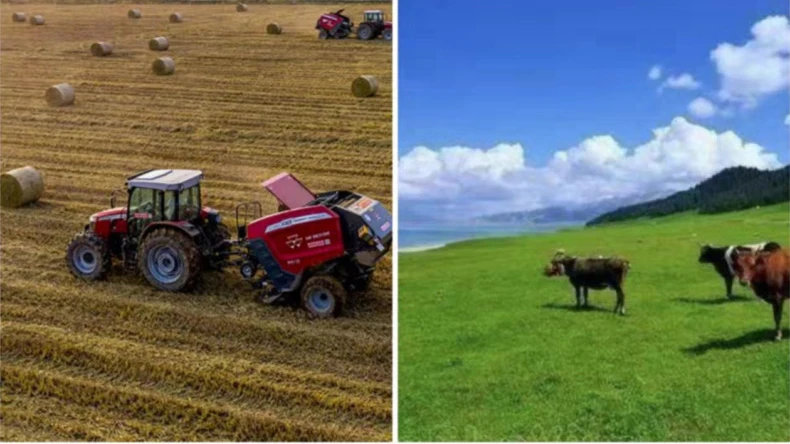 Apvyniojimo rulonais naudojimas žemės ūkio veikloje