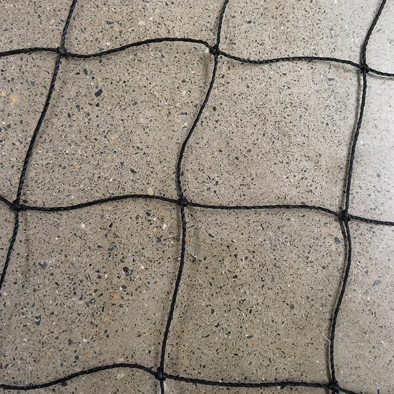 Kriketo tinklų vaidmuo