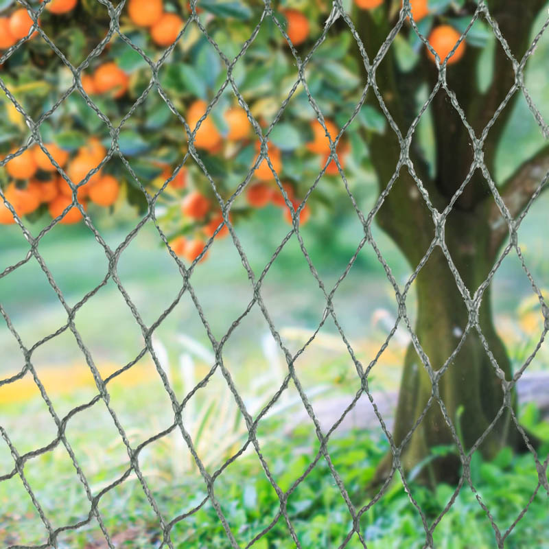 Paukščių tinklelio gyvūnų barjerai