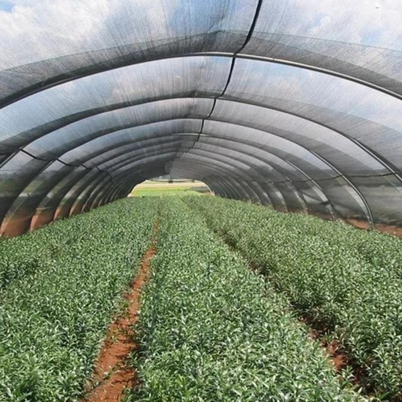 Sodo šešėlių audinys augalams, 40 % apsaugotas nuo saulės